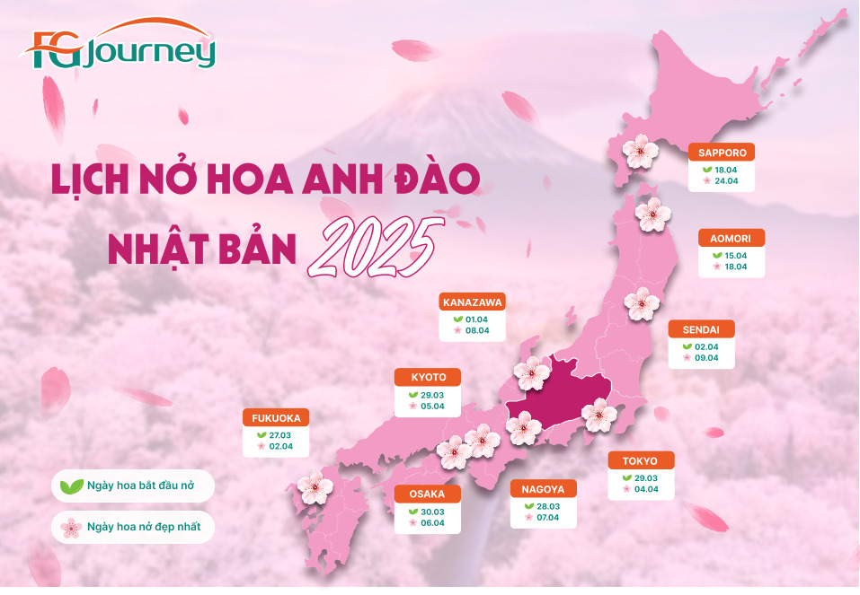 Lịch nở hoa anh đào Nhật Bản 2025